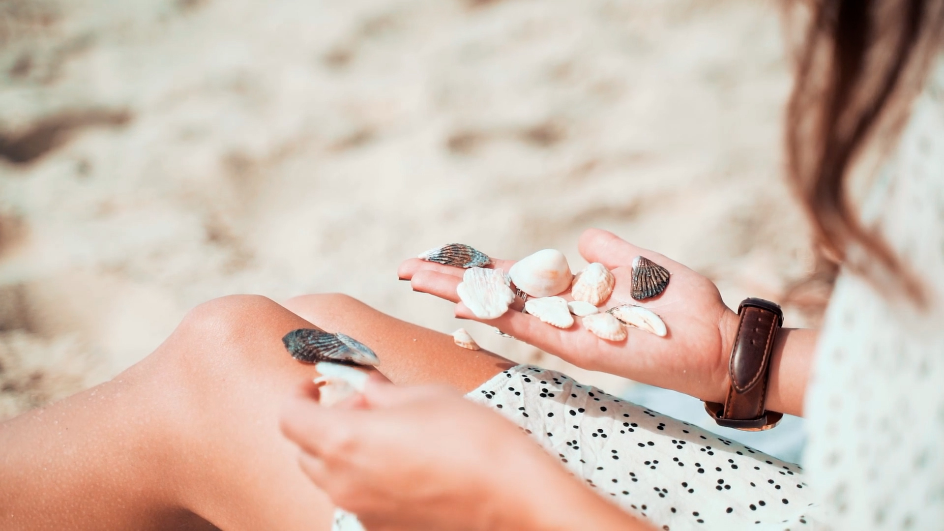 Portare via dalla spiaggia sassi e conchiglie fa male alle coste