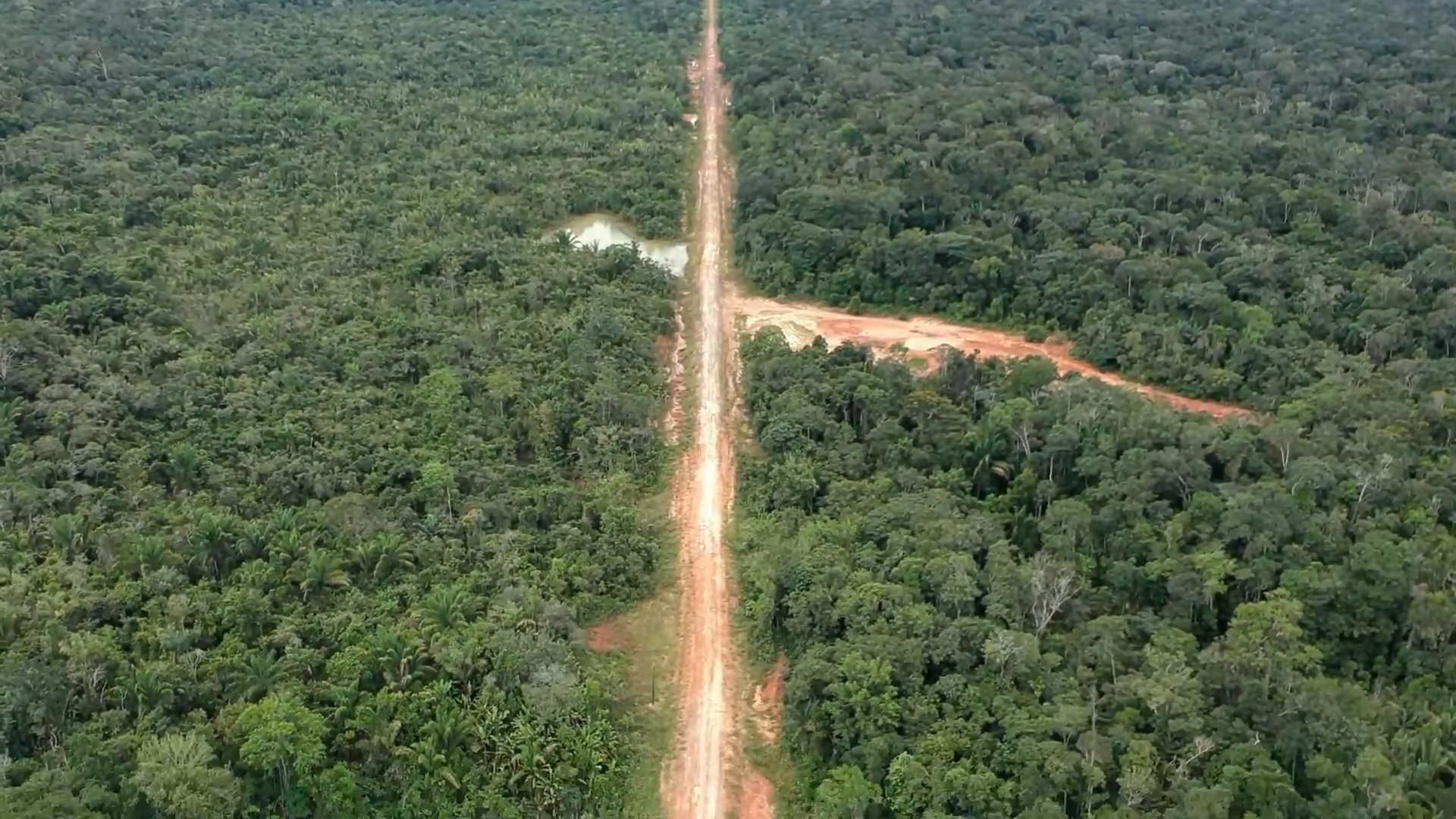 Un’autostrada minaccia la più grande foresta al mondo